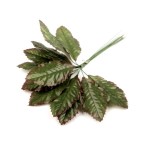 Artificial rose leaf, 12 cm long, light green color
